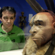 A man looking at a Neanderthal model at a Spanish exhibit in 2014.